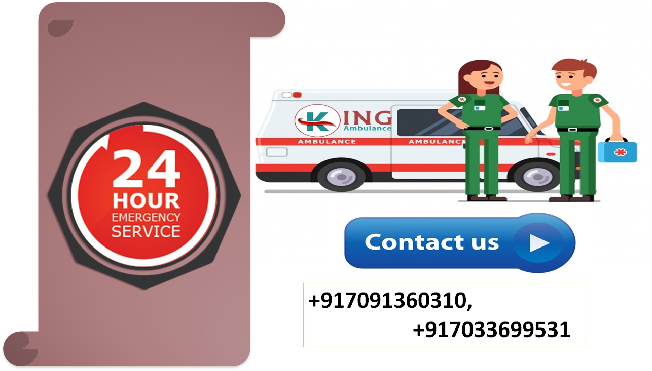 Road Ambulance Service in Vasant Kunj